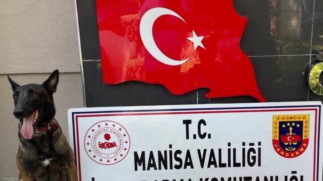 Uyuşturucu Madde Ticareti